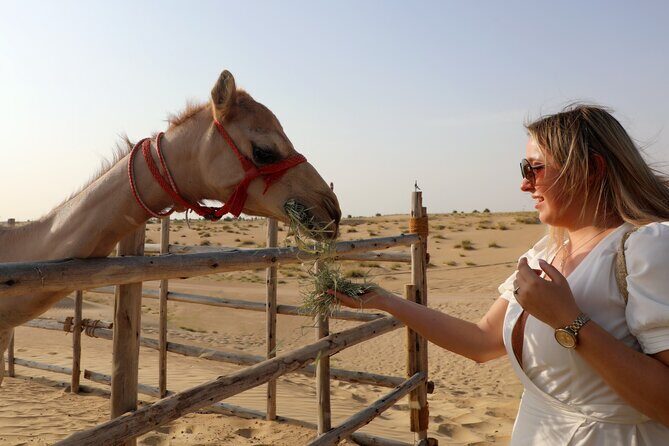Dubai Evening Heritage Safari by Vintage G Class Al Marmoom Oasis - Bedouin village welcome: gahwa coffee and real camel caravan time
