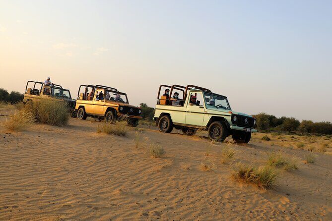 Dubai Evening Heritage Safari by Vintage G Class Al Marmoom Oasis - How the 6-hour timing really feels (and why it’s not rushed)