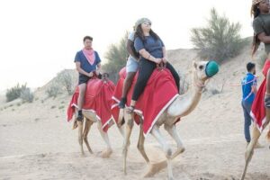 Dubai Half-day Red Dunes bashing with Sandboarding, Camel &Falcon - Getting From Your Dubai Hotel to Lahbab (and Why the Vehicle Matters)