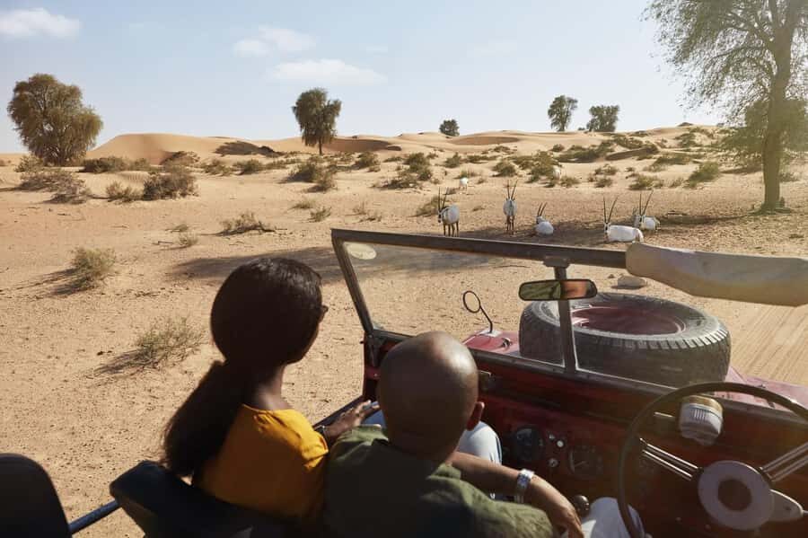 Dubai: Heritage Safari in Vintage Land Rover with Dinner - Bedouin Camp at a Private Royal Retreat: Dinner and Little Hands-On Moments