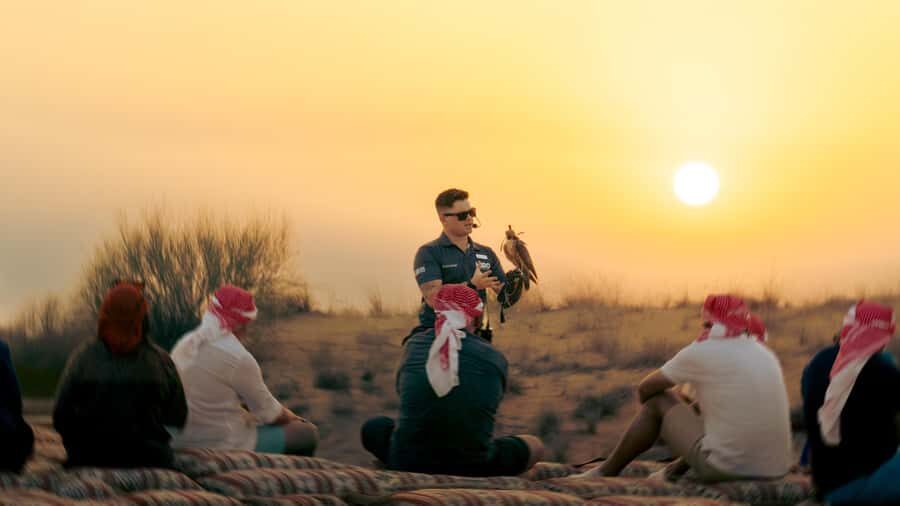 Dubai: Heritage Safari in Vintage Land Rover with Dinner - Dubai Desert Conservation Reserve: Wildlife Time That Feels Real