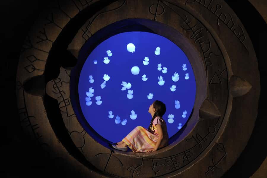 Dubai: Lost Chambers Aquarium Entry Ticket - Key things to know before you go