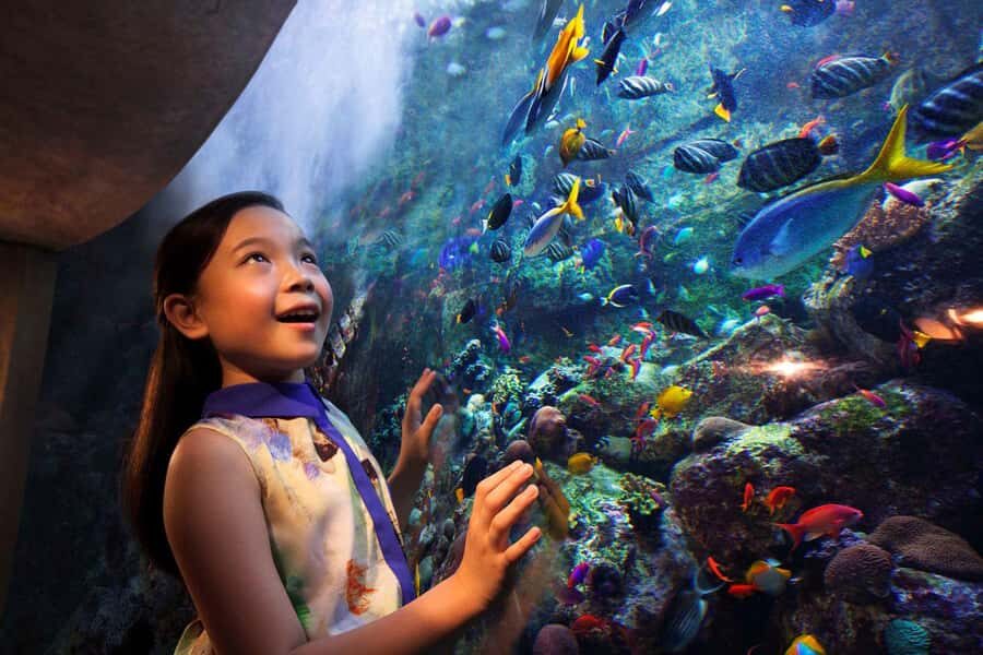 Dubai: Lost Chambers Aquarium Entry Ticket - Lost Chambers Aquarium at Atlantis: what this ticket buys you in real life
