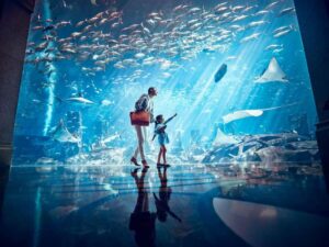 Dubai: Lost Chambers Aquarium Entry Ticket - Walking the 14 octagon chambers: the Ocean Explorer clue hunt