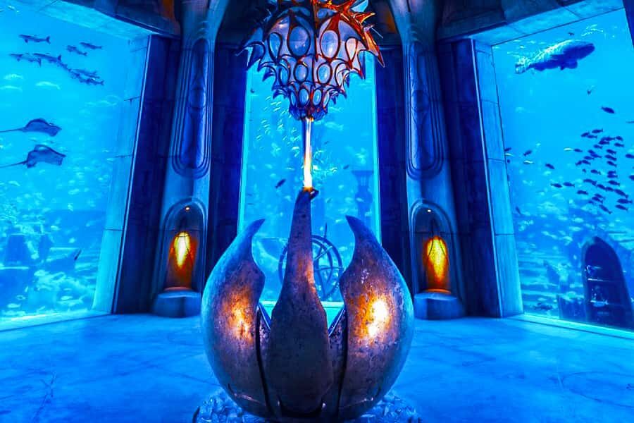 Dubai: Lost Chambers Aquarium Entry Ticket - Shows and feeding times: how to time your visit for the best action