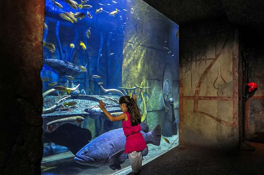 Dubai: Lost Chambers Aquarium Entry Ticket - Price and value: is $45 fair for Lost Chambers?