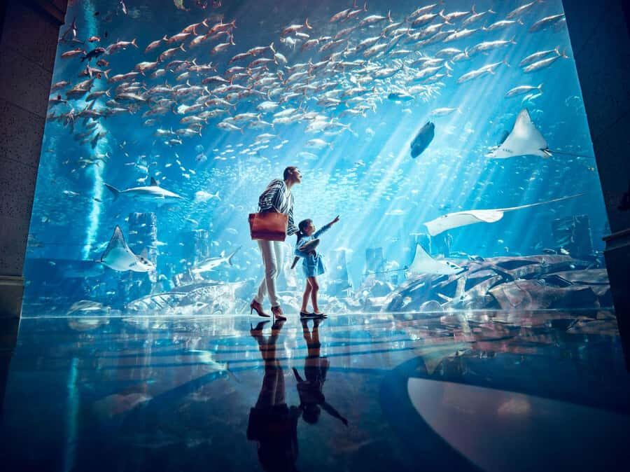Dubai: Lost Chambers Aquarium Entry Ticket - Walking the 14 octagon chambers: the Ocean Explorer clue hunt