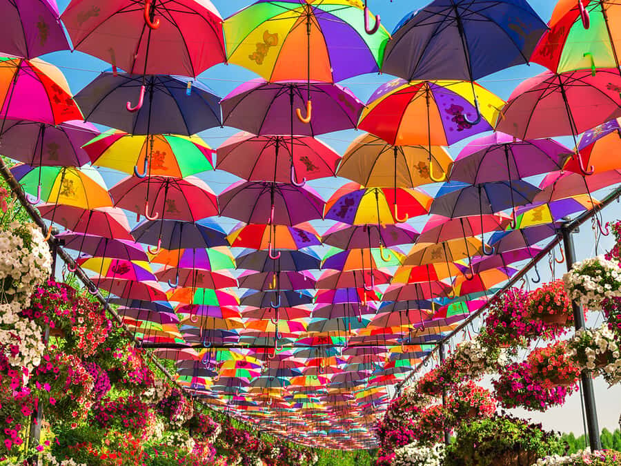 Dubai: Miracle Garden Entry Ticket with Hotel Transfer - Who this works best for