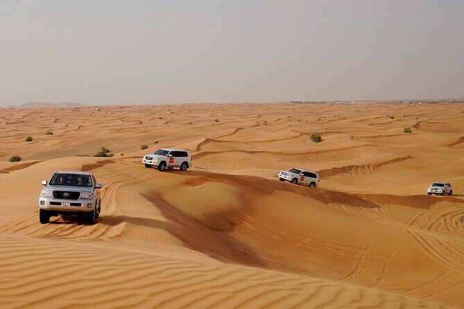 Dubai Morning Desert Safari with Quad Biking & More Activities - Price and value: what $55 buys you (and what it doesn’t)