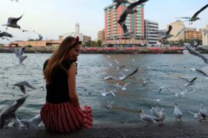 Dubai: Old & Modern Guided Half-Day City Tour - Pickup, language, and the flow of a guided day