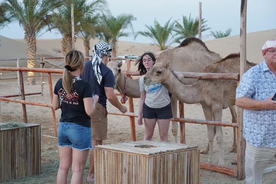 Dubai: Red Dune Desert Safari, Quad Bike, Camels, and BBQ - The Desert Camp Add-On: Rose Water, Shows, Henna, Shisha, BBQ