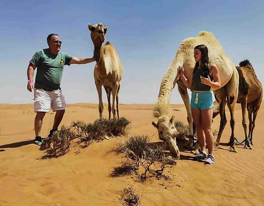 Dubai: Red Dunes Desert Safari with Premium Camp BBQ & Shows - The 5 Live Shows: Khaleeji, Debke, Belly, Tanura, Fire Dance