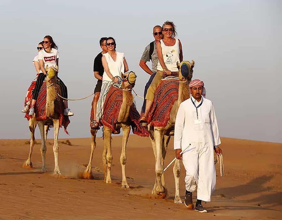 Dubai: Red Dunes Desert Safari with Premium Camp BBQ & Shows - Who Should Book This Safari, and Who Should Skip It