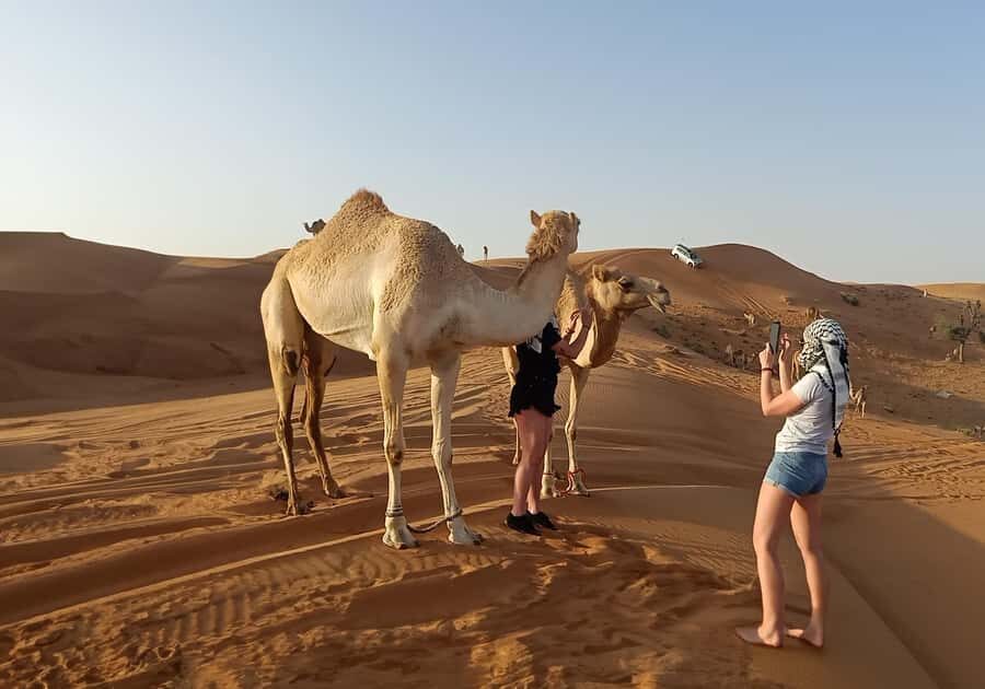 Dubai: Red Dunes Morning Desert Quad, Buggy or 4x4 Ride - Guides and service: why the ride quality feels consistent