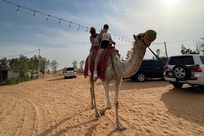 Dubai: Red Dunes, Sandsurf, Camel Ride, BBQ Dinner at Desert Camp - Henna, photo points, and traditional dress moments