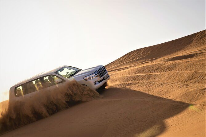 Dubai Red Dunes with Sandboarding, Camel Ride, Falcon & VIP Camp - Key things that make this safari worth your evening