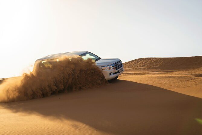 Dubai Red Dunes with Sandboarding, Camel Ride, Falcon & VIP Camp - Price and value: what you really get for around $55
