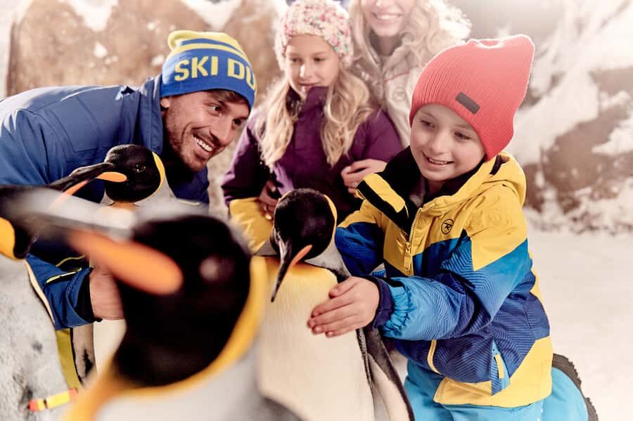 Dubai: Ski Dubai Snow Park Classic Pass - Winter gear, warmth, and the comfort reality check
