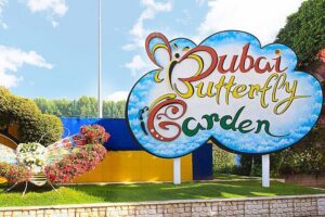 Dubai: Skip-The-Line Ticket to Butterfly Garden - Tickets valid for 90 days: plan your timing, not your stress