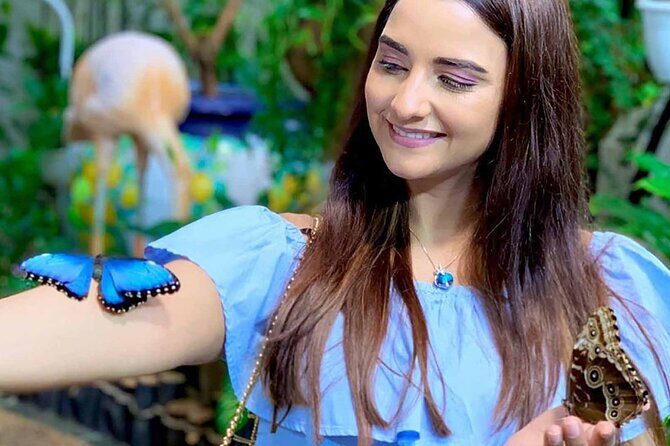 Dubai: Skip-The-Line Ticket to Butterfly Garden - Close encounters, photos, and the koi pond payoff