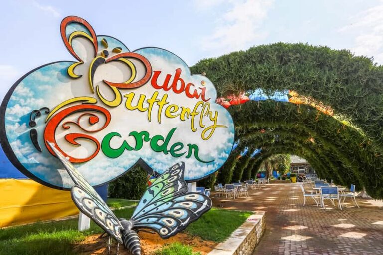 Dubai: Skip-The-Line Ticket to Butterfly Garden - Tickets valid for 90 days: plan your timing, not your stress
