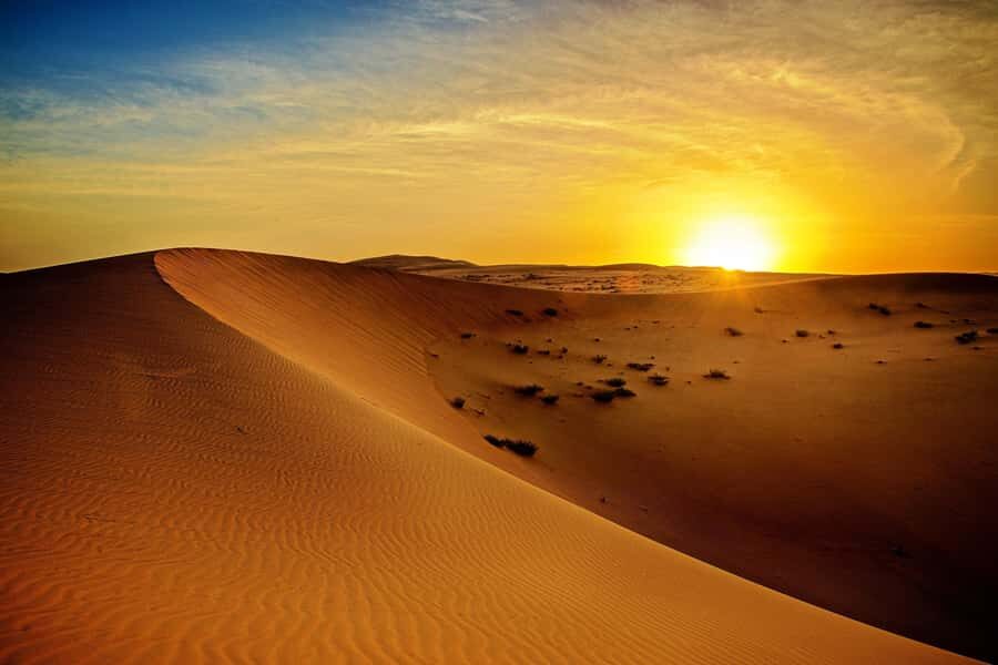 Dubai: Sunrise Desert Jeep Safari with Wildlife Experience - Sandboarding for 15 Minutes: Fun, Fast, and Not as Simple as It Looks