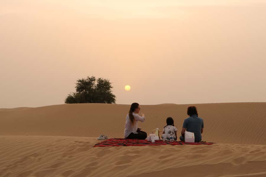 Dubai: Sunrise Desert Jeep Safari with Wildlife Experience - Arabian Oryx Feeding Station: Why This Stop Matters