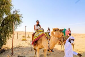 Dubai: Sunset Camel Trek, Al Khayma Camp, Stargazing & BBQ - The 6-hour flow: how the timing feels from pickup to telescope