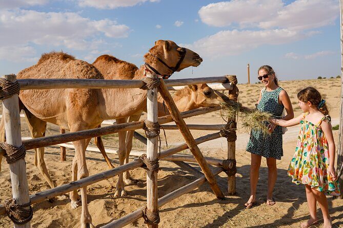 Dubai: Sunset Camel Trek, Al Khayma Camp, Stargazing & BBQ - Price and value: why $88 can make sense (and when it won’t)