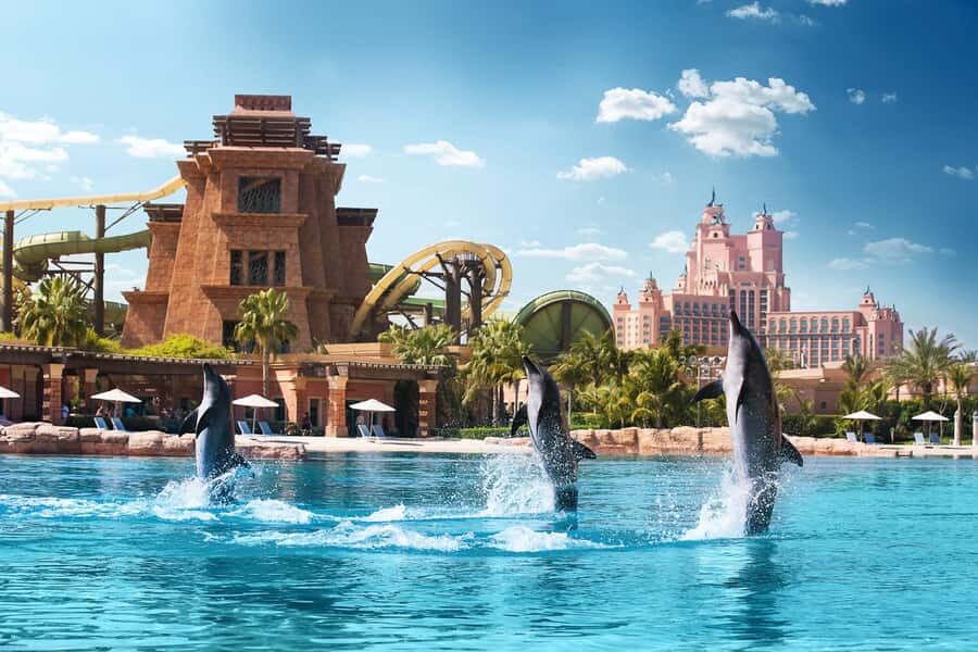 Dubai: Swim with Dolphins at Atlantis Waterpark - Key things to know before you book