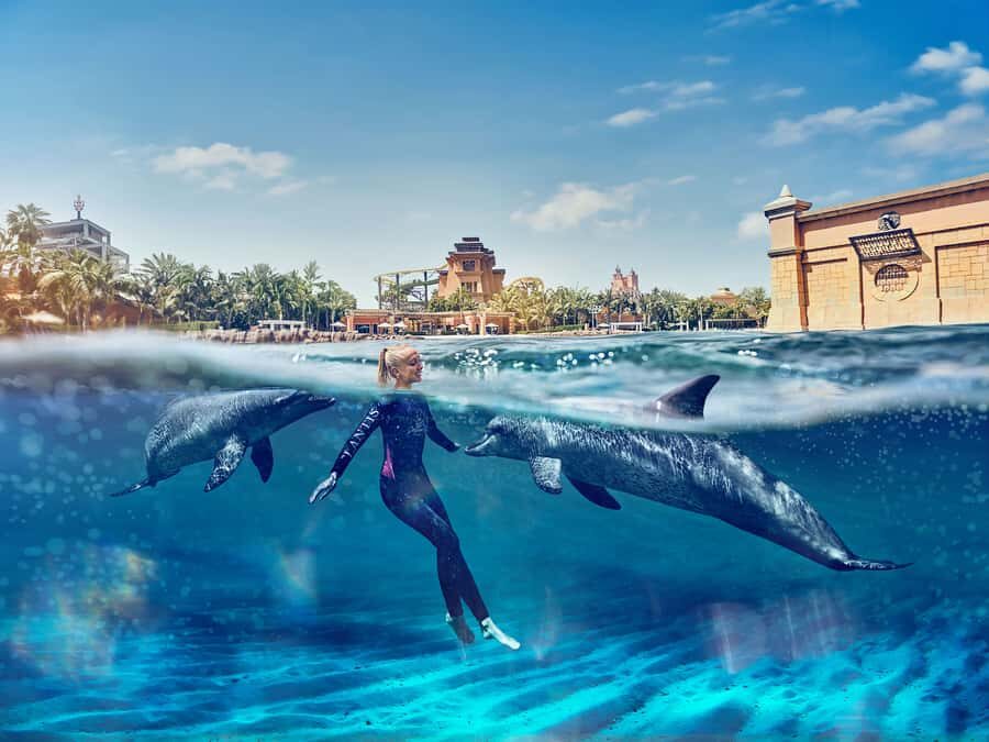 Dubai: Swim with Dolphins at Atlantis Waterpark - Dolphin Bay at Atlantis: what this experience is really like