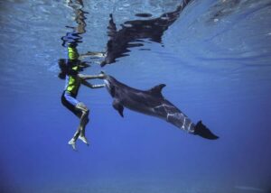 Dubai: Swim with Dolphins at Atlantis Waterpark - Atlas Village check-in: wetsuit, locker, and a real schedule