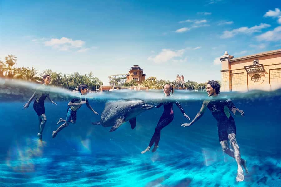 Dubai: Swim with Dolphins at Atlantis Waterpark - The 15-minute orientation: how you learn to interact