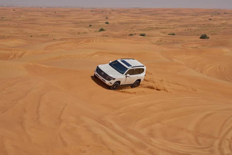 Dubai’s Best Desert Safari: Live Show & Gourmet BBQ Dinner - Who should book (and who should skip)
