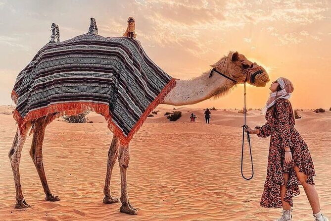 Evening Desert Safari & BBQ With Live Shows,Camel Ride,Falcon pic - Timing and Group Size: What 6 to 7 Hours Really Means