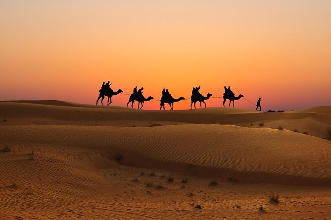 Evening Desert Safari in Dubai, Sandboard & BBQ Dinner - Price and What Makes $66.70 Feel Fair