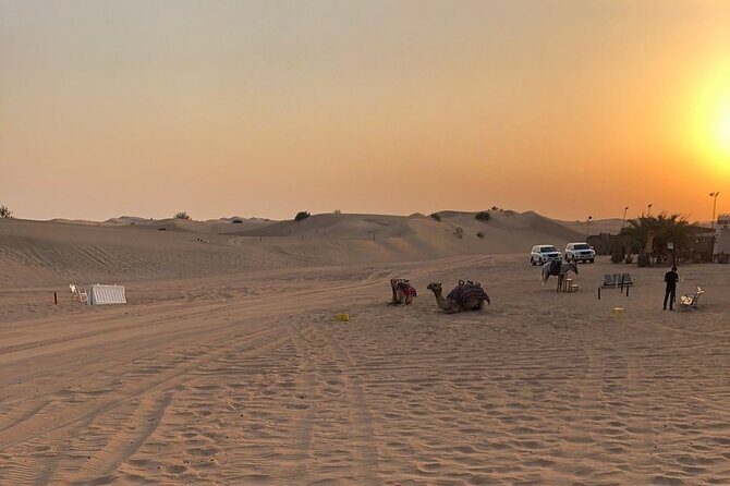 Exhilarating Desert Safari, Including BBQ Dinner from Dubai - BBQ buffet dinner plus belly dance, fire show, and tanoura
