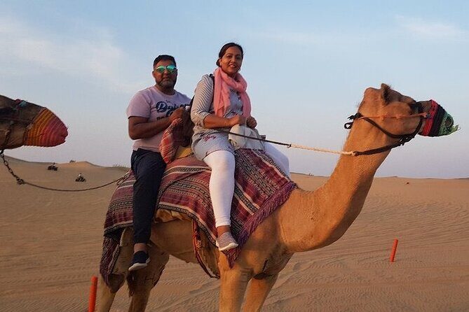 Exhilarating Desert Safari, Including BBQ Dinner from Dubai - Price and value: is $49 actually a fair deal?