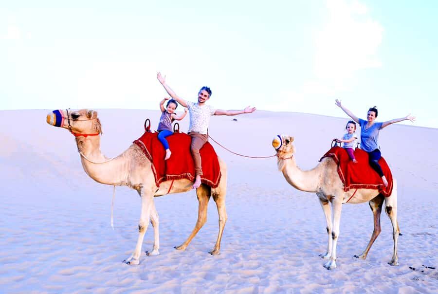 From Abu Dhabi: Dune Bashing Desert Safari - Should you book Desert Rose Dune Bashing Safari?