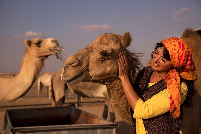 High Red Dunes with Camel Ride, Sandboarding, Falcon Show and VIP BBQ Dinner - From Dubai Pickup to Lahbab: The Ride That Makes or Breaks the Safari