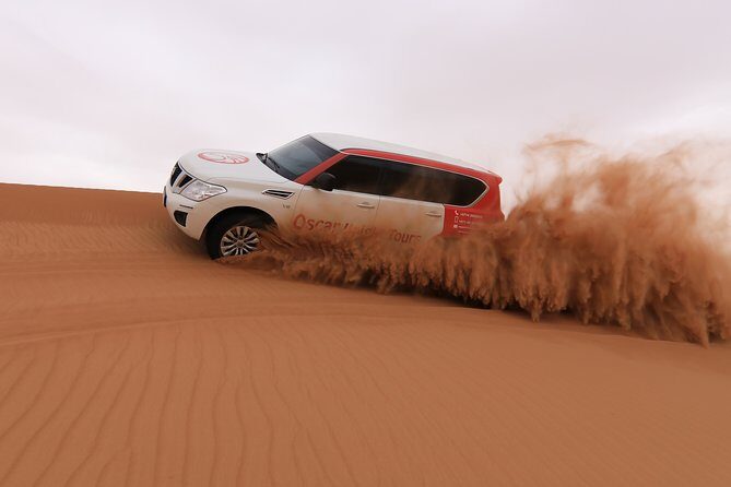 High Red Dunes with Camel Ride, Sandboarding, Falcon Show and VIP BBQ Dinner - Sandboarding on Soft Red Sand: The Fun Part After the Bumps