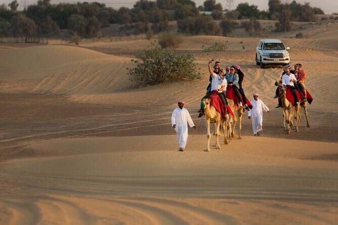High Red Dunes with Camel Ride, Sandboarding, Falcon Show and VIP BBQ Dinner - Price and Value: Why $80 Can Feel Like a Deal (If You Use the Included Stuff)