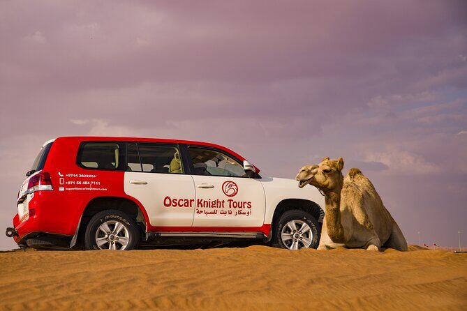 High Red Dunes with Camel Ride, Sandboarding, Falcon Show and VIP BBQ Dinner - Who This Safari Fits Best (and Who Should Skip It)