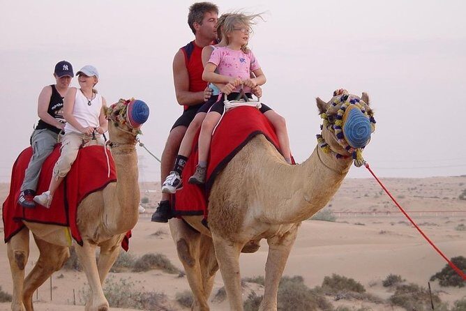 Morning Desert Safari With Quad Bike - Camel ride and the calmer side of the desert