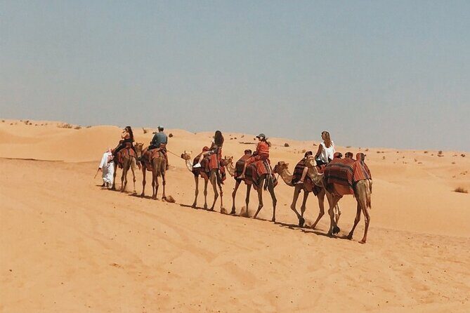 Morning Desert Safari With Quad Bike - Should you book this Morning Desert Safari With Quad Bike?