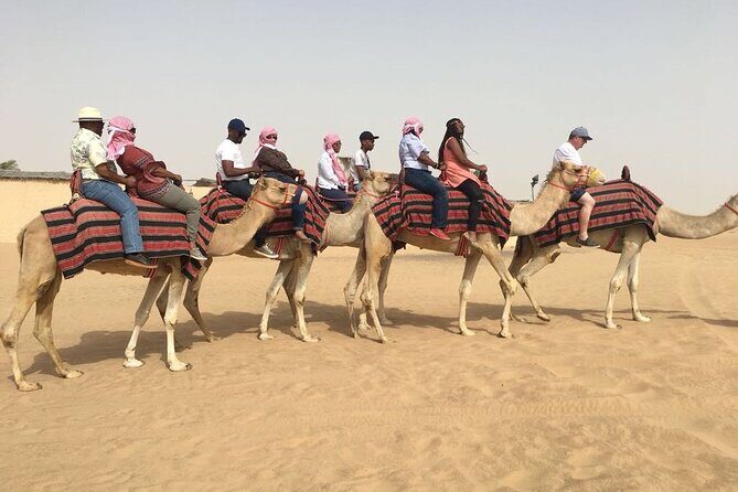 Morning Red Dunes with Camel Ride, Sandboarding and Refreshments - Cruising to Lehbab in a Land Cruiser with morning views