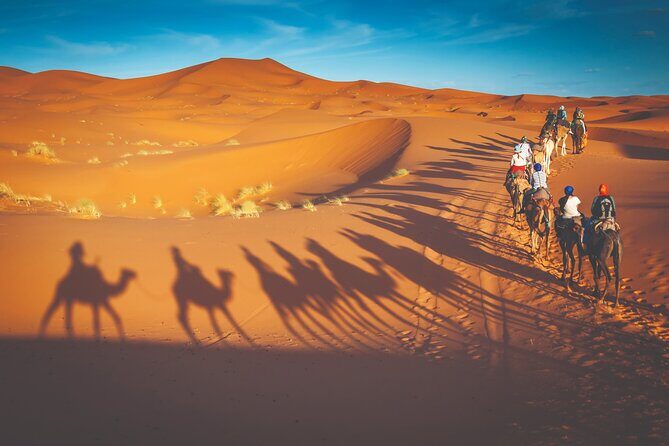 Premium Desert Safari with BBQ Dinner - Dubai - Leaving Dubai: Pickup, Timing, and Why the Start Matters