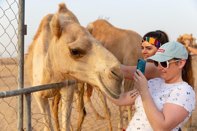 Premium Dubai Desert Safari with BBQ Dinner in the Red Dunes - FAQ