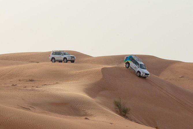 Premium Dubai Desert Safari with BBQ Dinner in the Red Dunes - Camel Farm at Lahbab: What the Camel Ride Really Means