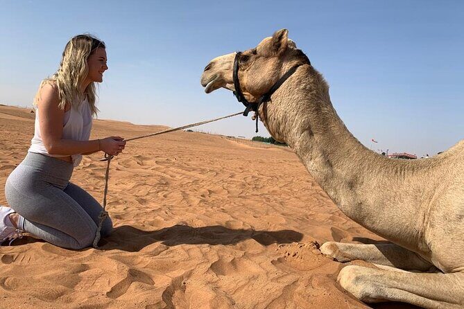 Premium Evening Desert Safari, Quad Bike, Camel & VIP BBQ Dinner - Price and what you really get for $48.84